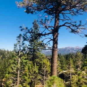 Meet your Posher, Bella